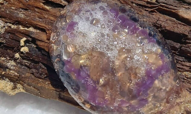 Μωβ μέδουσα: Στο νοσοκομείο κολυμβητής μετά από τσίμπημα - Δεν έπιασε ούτε η κορτιζόνη ούτε η σόδα