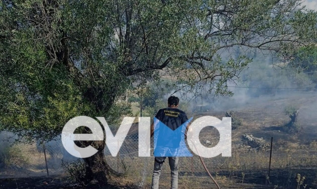 Φωτιά τώρα στην Ερέτρια - Καίει κοντά σε σπίτια