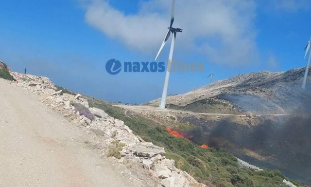 Φωτιά στη Νάξο: Ενισχύθηκαν οι Πυροσβεστικές Δυνάμεις