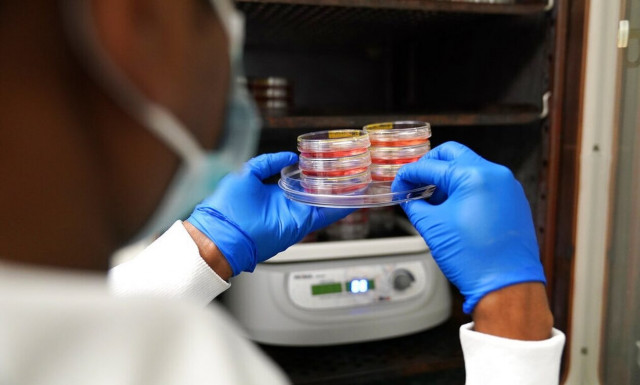 Guardian: Το πρώτο «συνθετικό έμβρυο» στον κόσμο δημιούργησαν επιστήμονες στο Ισραήλ