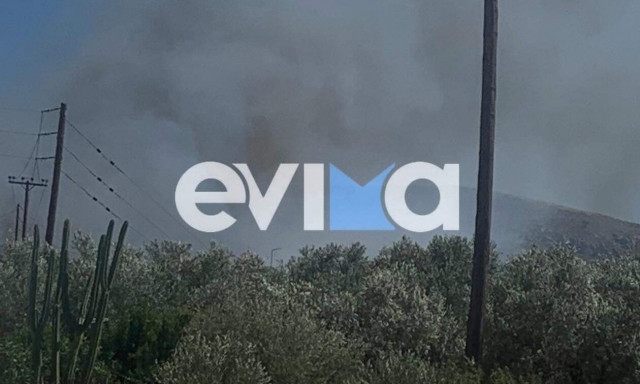 Οριοθετήθηκε η φωτιά στη Χαλκίδα - Μαρτυρίες για δυο εμπρηστές