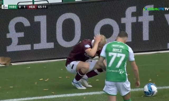 Απίστευτο! Οπαδοί πέταξαν τηγανιτές πατάτες στο ντέρμπι Χιμπέρνιαν – Χαρτς