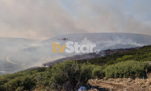 Φωτιά: Ωρες αγωνίας στον Δομοκό - Ενισχύθηκαν οι δυνάμεις της πυροσβεστικής