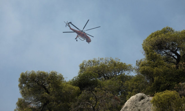 Φωτιά τώρα στην Πρέβεζα