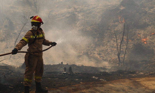 Φωτιά τώρα στην Ηλεία