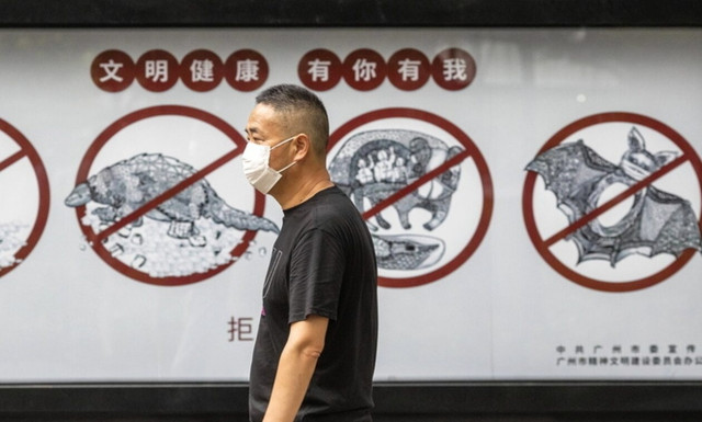 Νυχτερίδες μεταδίδουν κορονοϊούς τύπου SARS - 66.000 μολύνσεις το χρόνο στη Νοτιοανατολική Ασία