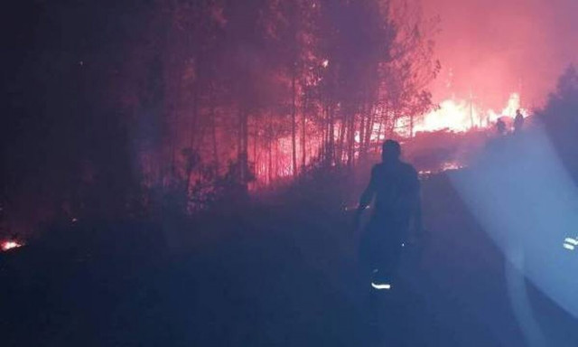 Φωτιά στη Θάσο δίπλα στις κατασκηνώσεις – Τραυματίστηκαν εθελοντές