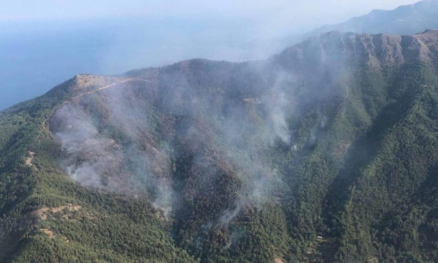 Wildfire at Thassos island subsiding, says Fire Brigade