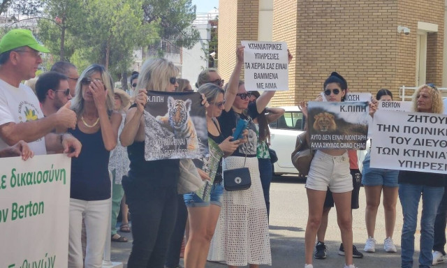 Κύπρος: Διαμαρτυρία για το θάνατο του αγριόγατου έξω από τη Νομική Υπηρεσία - Ζητούν απόδοση ευθυνών