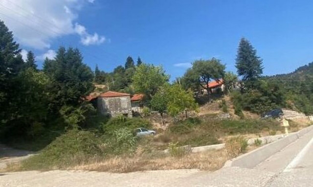 Έγκλημα στην Άρτα: Άφαντος ο άνδρας ο οποίος φέρεται να σκότωσε τον πεθερό του - Κρύβεται στα βουνά