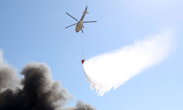 Φωτιά τώρα στη Βοιωτία