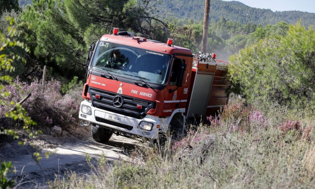 Φωτιά τώρα στην Ηλεία - Επί ποδός η Πυροσβεστική