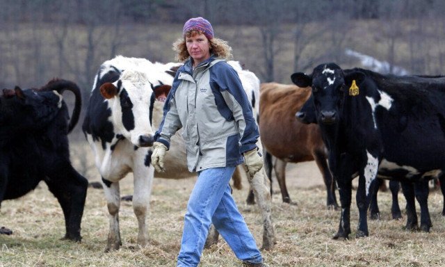 Γαλλία: Θύμα της καταστροφικής ξηρασίας φημισμένο τυρί της χώρας - Σε απόγνωση οι παραγωγοί