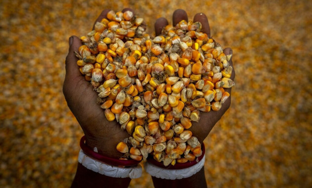 Κλιματική κρίση: Απειλείται το ένα τρίτο των τροφών που καταναλώνουμε