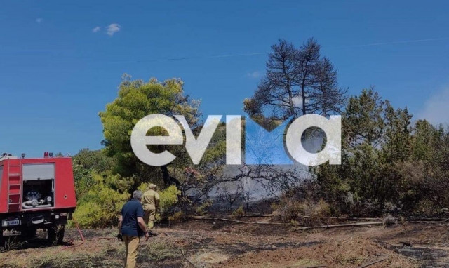 Φωτιά τώρα στα Ψαχνά της Εύβοιας