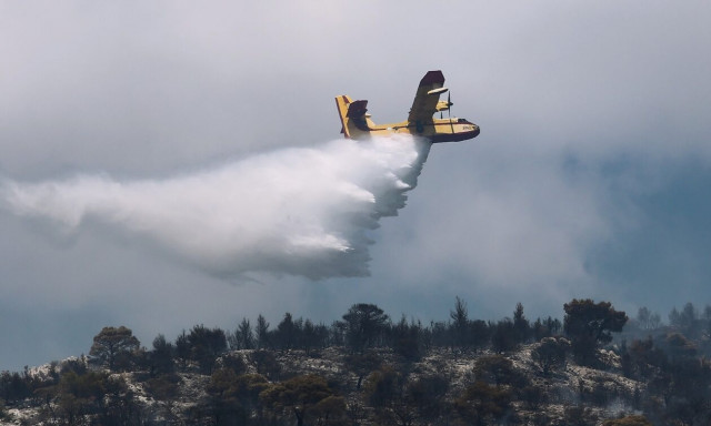 Φωτιά στα Φλάμπουρα Πρέβεζας