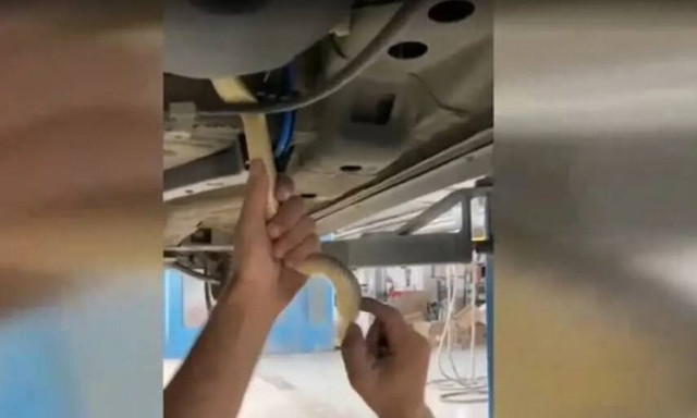 Θεσσαλονίκη: Βρήκε φίδι μέσα στο ντεπόζιτο της βενζίνης!