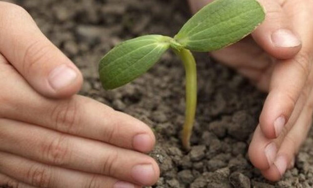 Προσλήψεις στον ΕΛ.Γ.Ο - ΔΗΜΗΤΡΑ: Ποιους αφορά -  Πότε λήγει η προθεσμία αιτήσεων