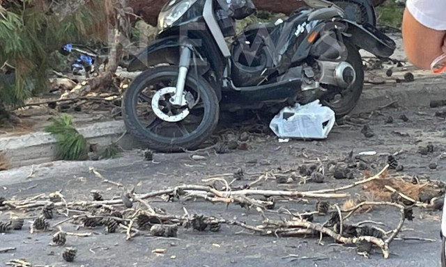 Θάνατος 50χρονου από δέντρο: Βίντεο ντοκουμέντο από τη στιγμή της τραγωδίας