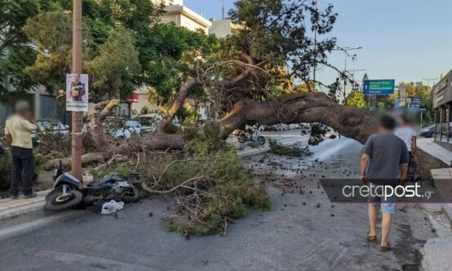 Ηράκλειο: Το τραγικό παιχνίδι της μοίρας για τον 51χρονο που καταπλακώθηκε από δέντρο