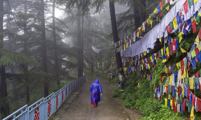Τραγωδία στην Ινδία: 15 νεκροί στον βορρά από τις πλημμύρες λόγω του μουσώνα