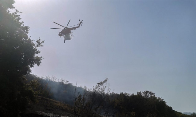 Πυρκαγιά στη Φθιώτιδα: Σηκώθηκαν εναέρια μέσα για την κατάσβεση - Σε ρεματιά οι φλόγες