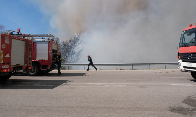 Πυρκαγιά φωτιά