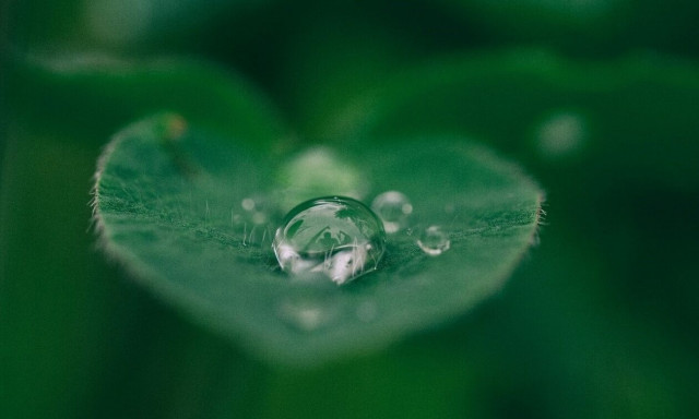 Πώς οι πρακτικές της ΕΥΔΑΠ προστατεύουν το νερό ως πολύτιμο φυσικό πόρο