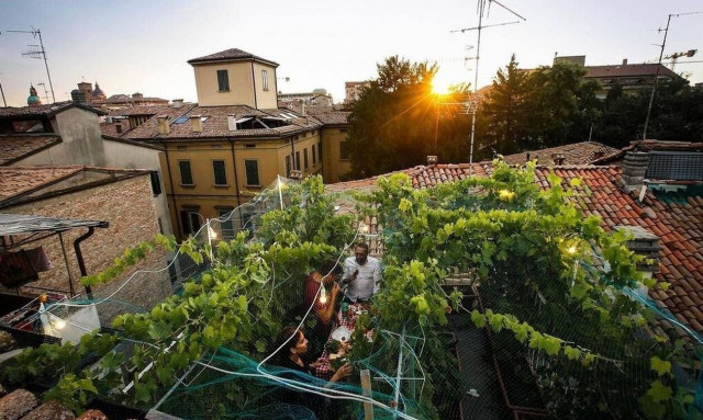 Ο μικρότερος «εκκεντρικός» αμπελώνας του κόσμου σε ταράτσα την Βόρεια Ιταλία