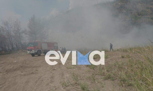 Φωτιά τώρα σε δασική έκταση στις Ροβιές Ευβοίας