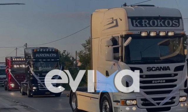 Εύβοια: Εντυπωσιακός γάμος με νταλίκες και… κόρνες στο Νεοχώρι