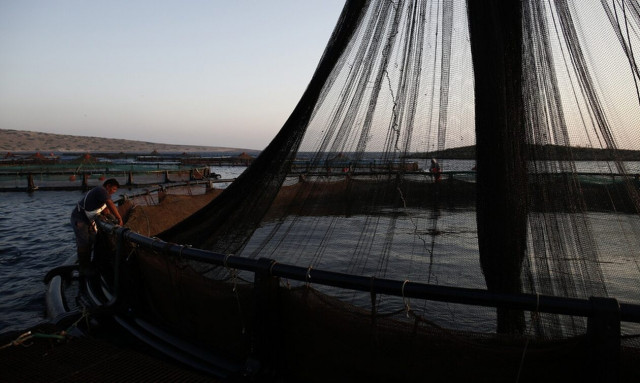 Τραγωδία Πρέβεζα: Πατέρας τριών παιδιών ο ένας νεκρός – Πώς έγινε η φονική έκρηξη στο ιχθυοτροφείο