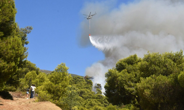 Υπό μερικό έλεγχο φωτιά στην Καρακάξα Αργολίδας