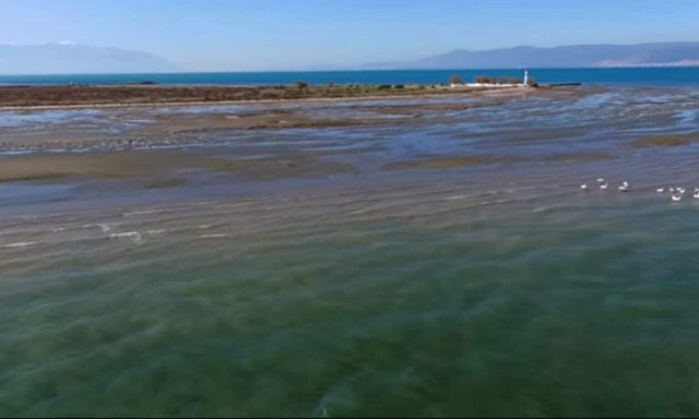 Ο παράδεισος με τα ροζ φλαμίνγκο στη Λαμία