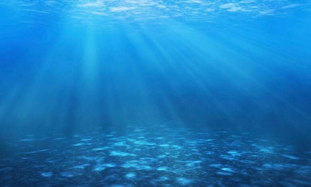 WWF: Ευχάριστα νέα - Αυξάνονται τα ψάρια στη Γυάρο χάρη στα περιβαλλοντικά προγράμματα