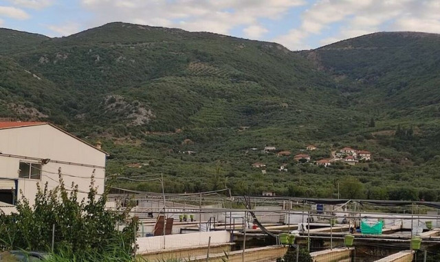 Έκρηξη στην Πρέβεζα: Σε τακτική δικάσιμο οι υπεύθυνοι του εκτροφείου ψαριών