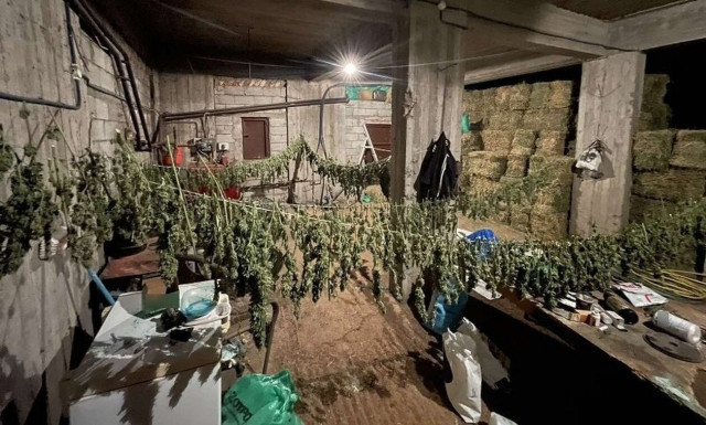 Ρέθυμνο: Συλλήψεις για όπλα και ναρκωτικά       