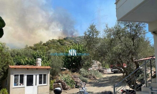 Φωτιά τώρα στη Ναύπακτο