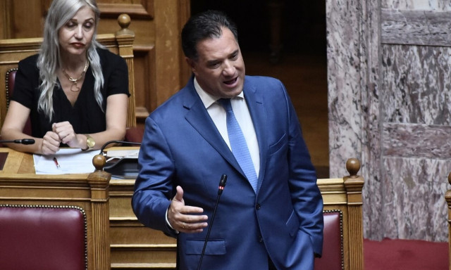 Ο Άδωνις Γεωργιάδης