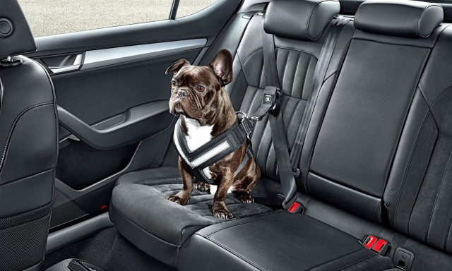 Ποια είναι η νέα πατέντα της Ford;