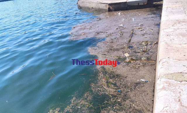 Θεσσαλονίκη: Βούρκος ο Θερμαϊκός – Αποκρουστικό θέαμα με σκουπίδια και νεκρά περιστέρια (vid)