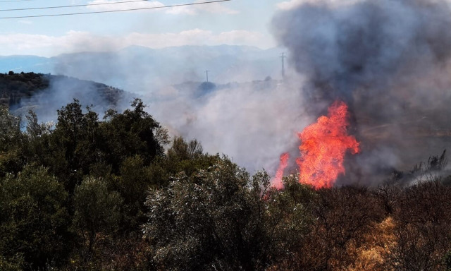 Φωτιά στην Αχαΐα - Κινητοποιήθηκαν και εναέριες δυνάμεις