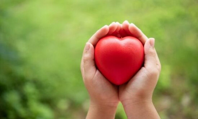 Η μικρή Ταξιαρχούλα από το Πλατύ Ημαθίας κινδυνεύει να χάσει τη ζωή της - Πώς θα τη βοηθήσουμε