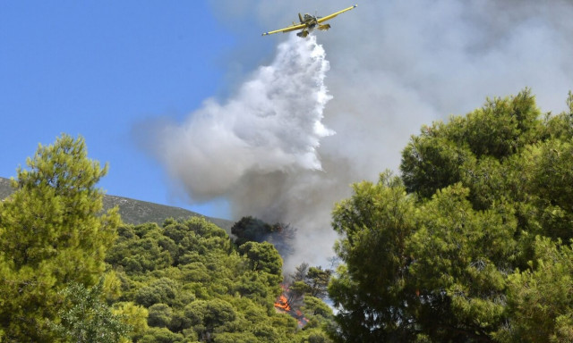 Φωτιά τώρα στην Θάσο: Δύσβατο σημείο - Ισχυρή κινητοποίηση της Πυροσβεστικής