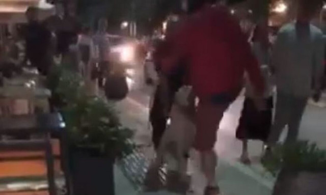 Σκύλος κακοποίηση