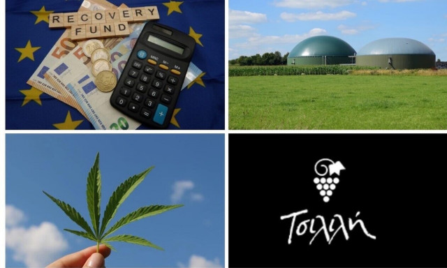 Η απάτη και το Ταμείο Ανάκαμψης, η Τσιλιλής και η κρητική φαρμακευτική κάνναβη