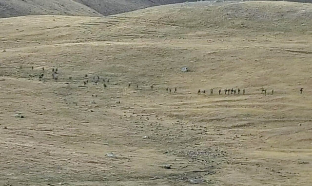 Αρμενία: Στο «κόκκινο» η ένταση με το Αζερμπαϊτζάν - Σχεδόν 100 νεκροί στα σύνορα