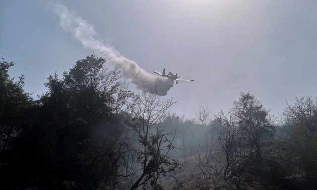 Κρήτη: Σε εξέλιξη μεγάλη φωτιά στα Δελιανά