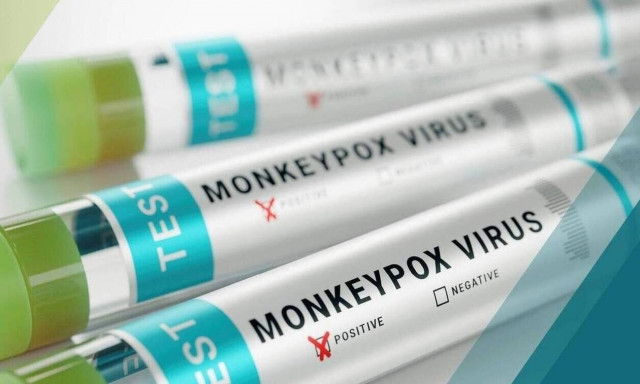 Ευλογιά των πιθήκων: Οδηγίες του ΕΟΔΥ για τους ταξιδιώτες