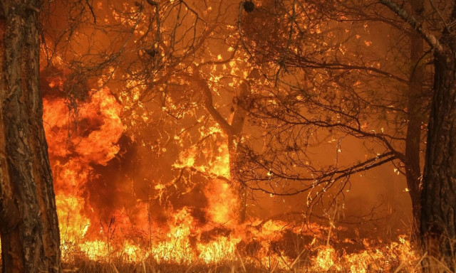 Υψηλός κίνδυνος πυρκαγιάς την Κυριακή για αρκετές περιοχές